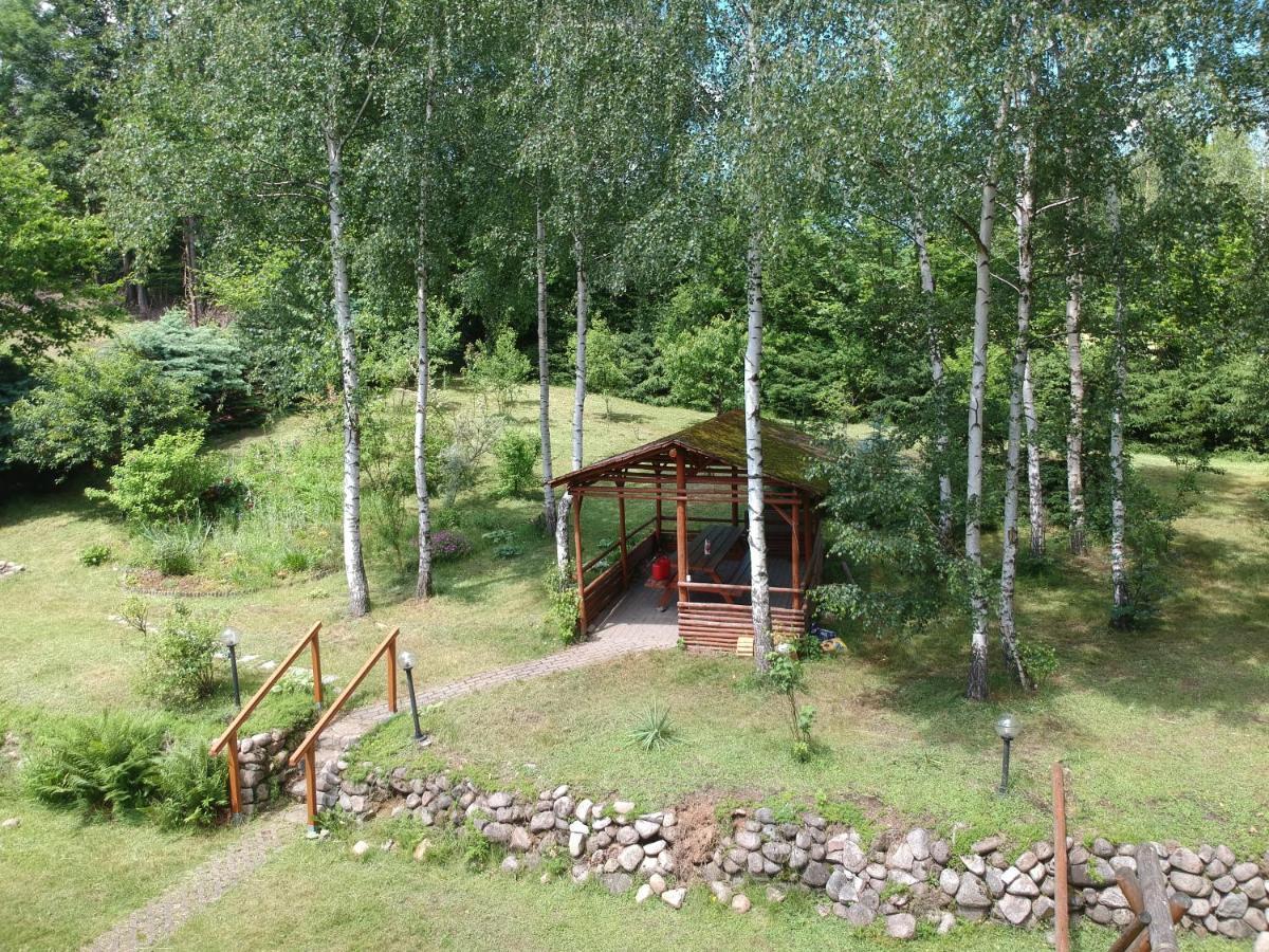 Chata Gorska Sowa Dla 12 Osob, 4 Sypialnie,Salon Z Kominkiem Villa Podgórzyn Dış mekan fotoğraf