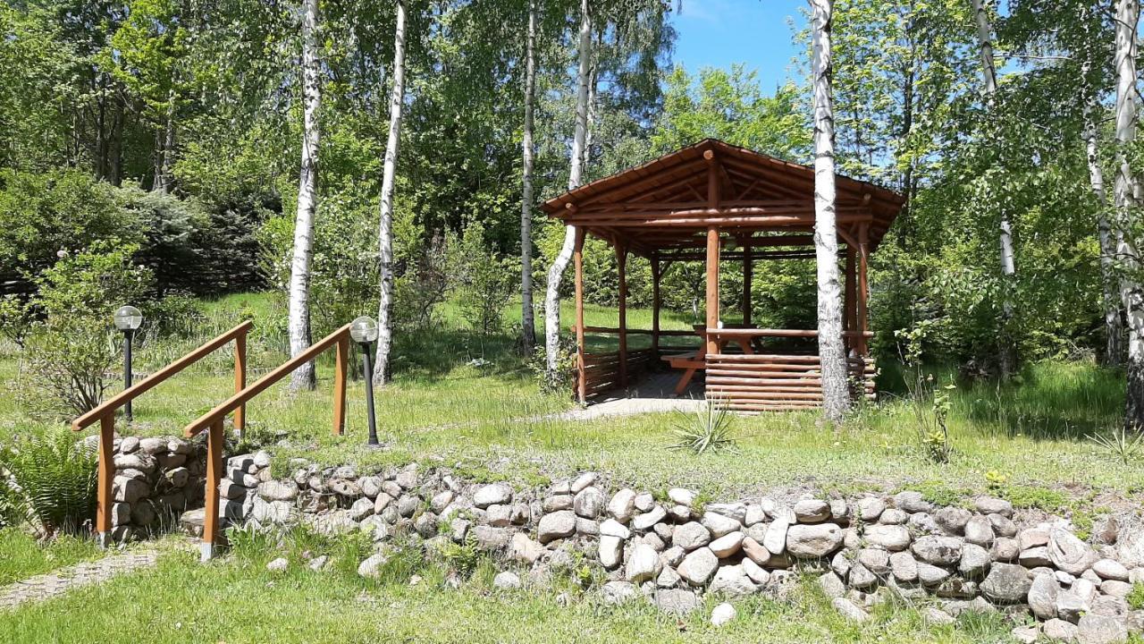 Chata Gorska Sowa Dla 12 Osob, 4 Sypialnie,Salon Z Kominkiem Villa Podgórzyn Dış mekan fotoğraf