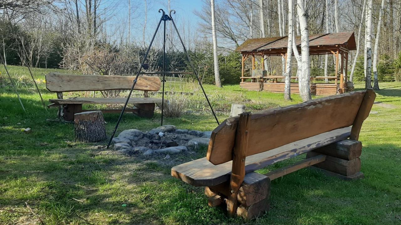 Chata Gorska Sowa Dla 12 Osob, 4 Sypialnie,Salon Z Kominkiem Villa Podgórzyn Dış mekan fotoğraf