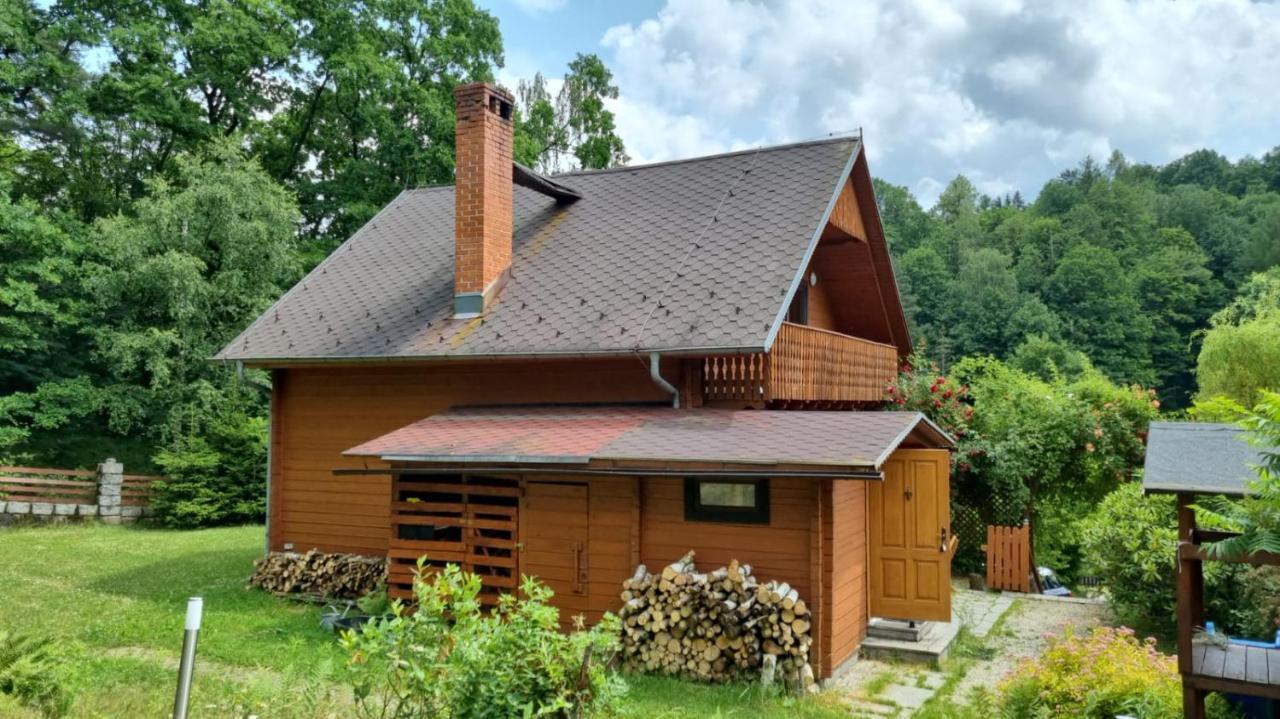 Chata Gorska Sowa Dla 12 Osob, 4 Sypialnie,Salon Z Kominkiem Villa Podgórzyn Dış mekan fotoğraf